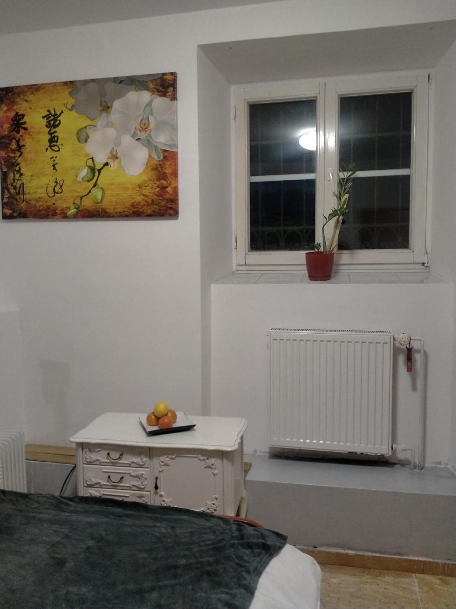 Lemon Tree Hostel Krakov Exteriér fotografie